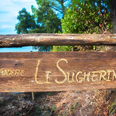 Podere Le Sugherine * Forni di Gavorrano