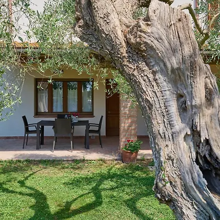 Podere Le Sugherine Forni di Gavorrano