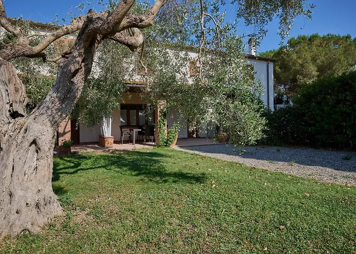 Nyaraló Podere Le Sugherine