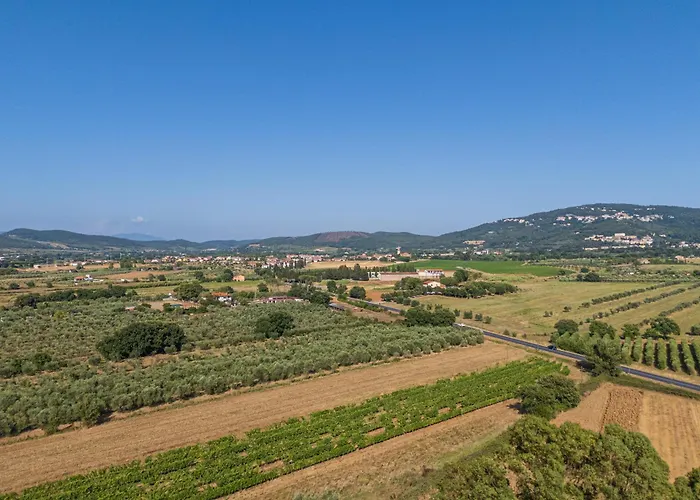 Podere Le Sugherine Forni di Gavorrano
